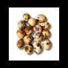 Huevos de codorniz (30u)