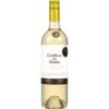 VB Casillero del diablo