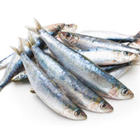 Sardinas frescas 1 kg envíos Cuba
