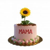 Cake maceta de girasol para mamá envíos Cuba